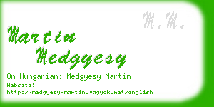 martin medgyesy business card